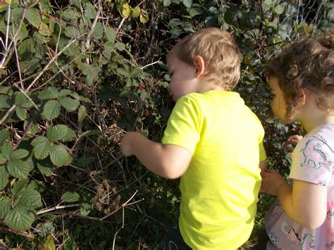 Photo Gallery Brambles Nursery St Just Cornwall