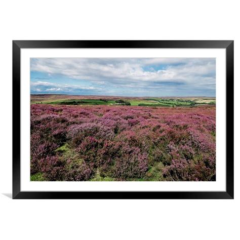 Moorland Heather North York Moors Picture Framed And Mounted Wall Art In