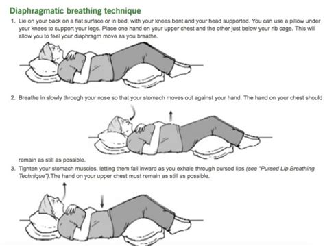 Image Result For Diaphragmatic Breathing Handout Diaphragmatic