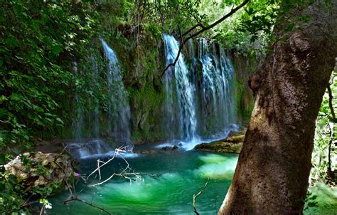 Wallpaper Greens Leaves Water Branches Stones Tree Waterfall