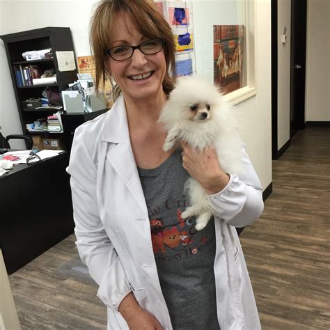 Bark avenue pet supply's new location is coming soon to gilbert, az! Little Critters Veterinary Hospital - Veterinarian serving ...