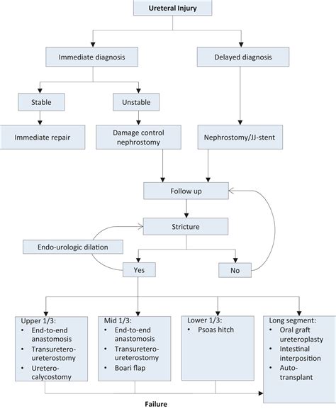 Urological Trauma UROGENITAL TRAUMA GUIDELINES Uroweb