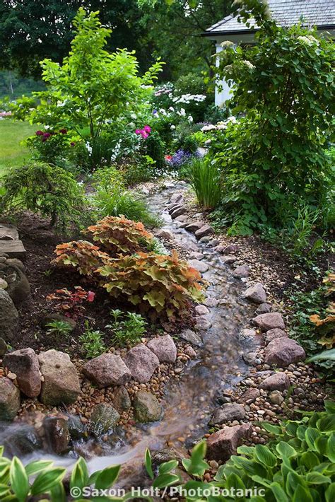 Building A Backyard Stream