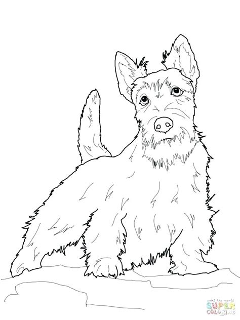 This dog coloring pages are fun way to teach your kids about dog. Boston Terrier Coloring Pages at GetColorings.com | Free ...