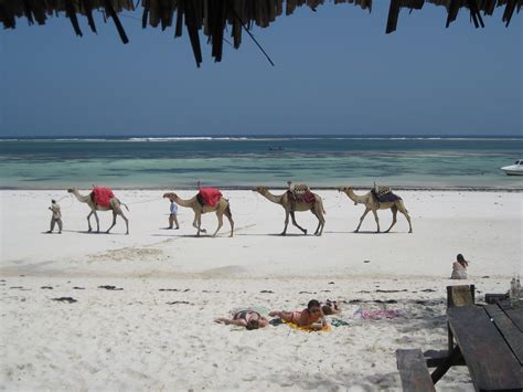 Mombasa Safaris Tours And Budget Packages