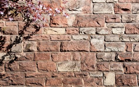 Nature Walls Bricks Wallpapers Hd Desktop And Mobile