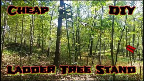How To Build A Wooden Ladder Deer Stand Zeke Adventure Blog