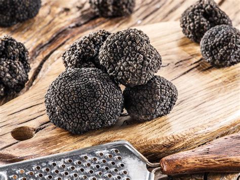 Immature truffles do not smell, therefore do not attract any animals. Black Truffle Sea Salt - ISTRA Truffle 松露之鄉｜Your Truffle ...