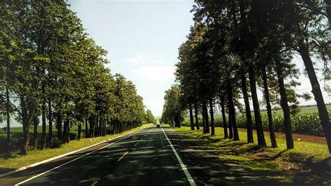 Weg tiene disponible un arrancador especialmente proyectado y dimensionado de acuerdo con la aplicación. Geen dikke bomen meer langs de weg