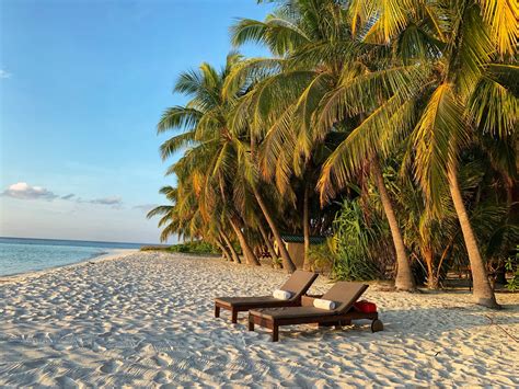 Biyadhoo Island Resort 2024 A Complete Guide