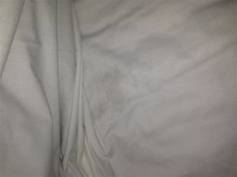 Jizz Stain In The Bed Picture Of Chimney Corner Hotel Newtownabbey