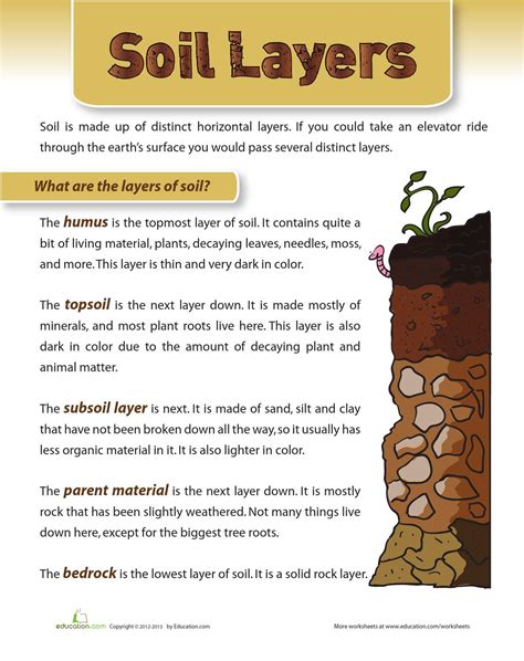 Soil Profile Worksheets