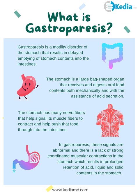 What Is Gastroparesis Symptoms Causes And Treatment In Dallas Texas