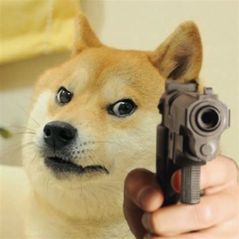 Doge With A Gun Indian Meme Templates