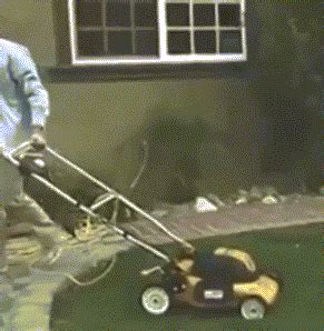 Lawn GIFs Find Share On GIPHY