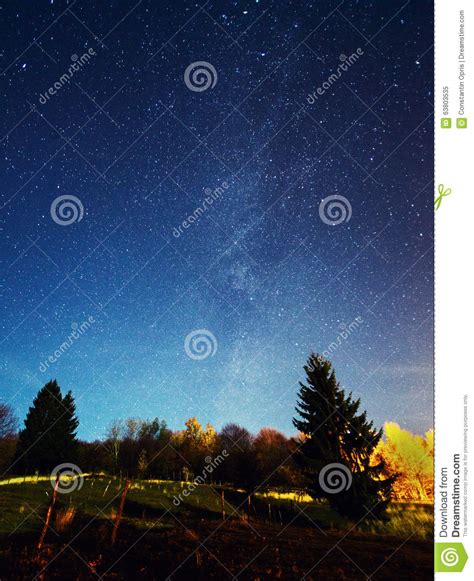 Starry Night Sky Over Forest Stock Image Image Of Meadow Woods 63803535