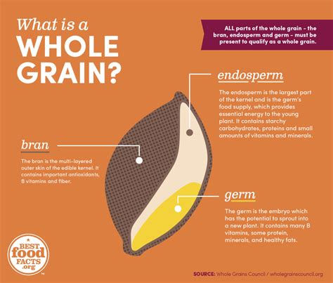 What Is A Whole Grain