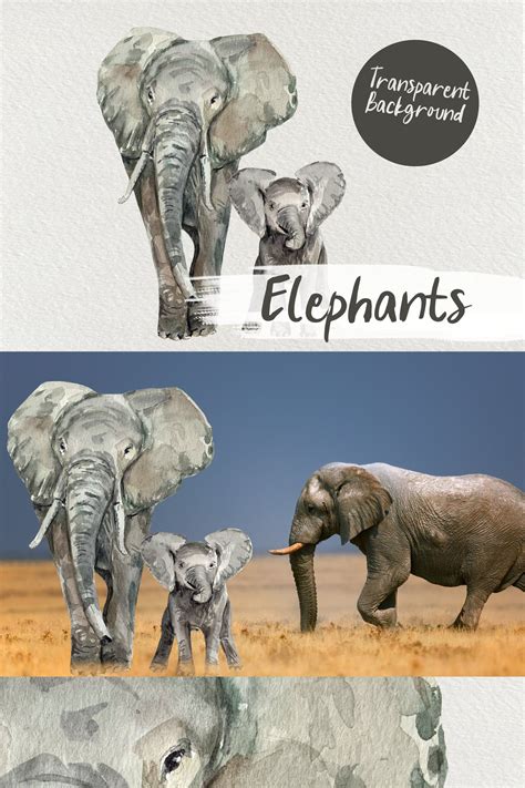 Watercolor Elephants Clip Art 1288423 Illustrations Design Bundles