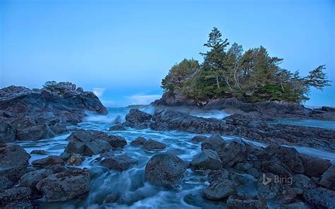 Shoreline Near Tofino On Vancouver Island British Columbia Canada