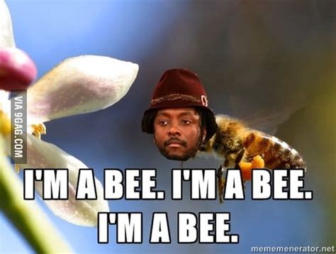 Im A Bee 9gag