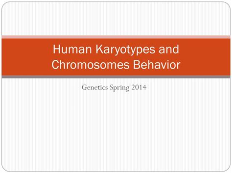 Ppt Human Karyotypes And Chromosomes Behavior Powerpoint Presentation