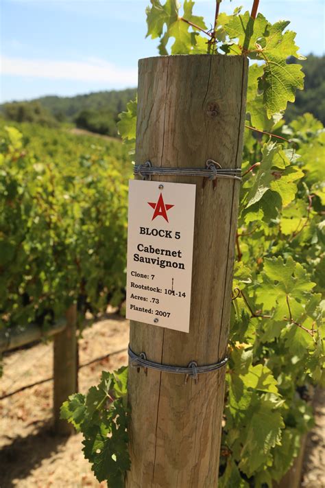 Basically just post a celebrity whose first and last name starts with the same letter in alphabetical order. Anthem Winery - The Napa Wine Project