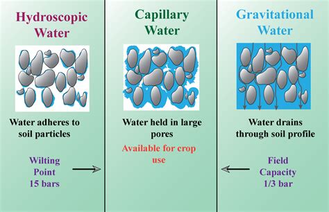 In Soil The Water Available For Root Absorption Isa Gravitational