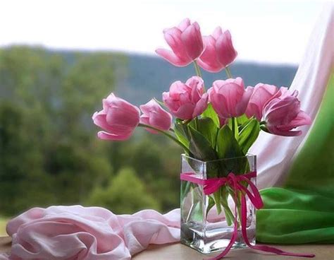 Auguri di compleanno compleanni animazione youtube rosa fiori karaoke. Pin di babybluejb su Fiori e piante | Tulipani, Vasi da ...