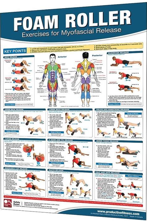 X Laminated Fitness Poster Wall Chart Foam Roller Exercises For Myofascial Release