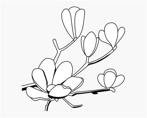 #magnolia #stamps #flowers gold embossed flower outline. Magnolia Flower Clip Art - Free Magnolia Outline , Free ...