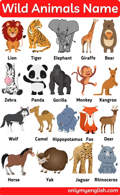 Wild Animals Name List List Of Animals Animals For Kids Baby Animals