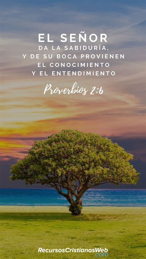 Versículos Bíblicos Sobre La Sabiduría De Dios Proverbios 26
