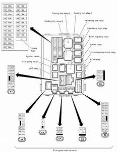 Ipdm Diagram Make No Sense My350z Com Wiring Diagram