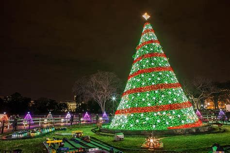 Whopping Big Christmas Trees That Make You Feel Small Savings Room