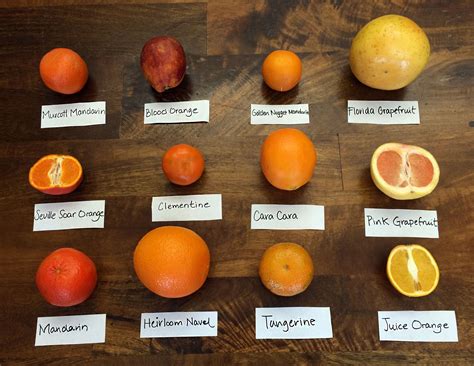 Know These 12 Citrus Varieties And When They Are In Season Food Republic