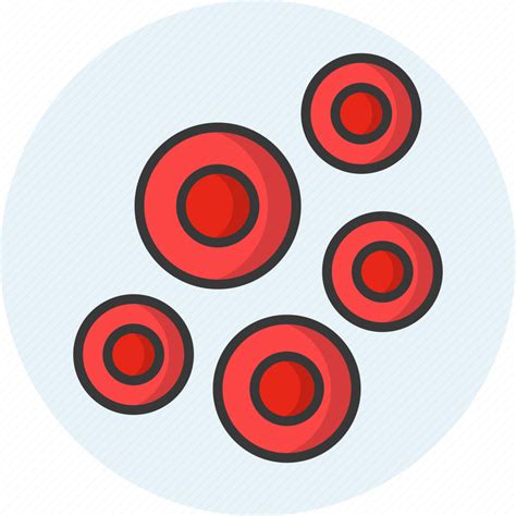 Blood Cells Blood Cell Platelet Erythrocytes Hemoglobin Red Blood