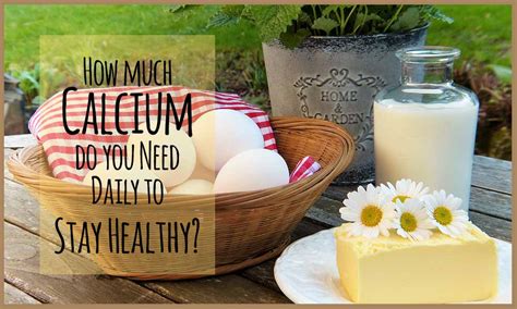 what is the amount of calcium you need every day medy life