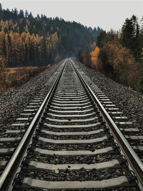 100 Rail Pictures Hd Download Free Images On Unsplash