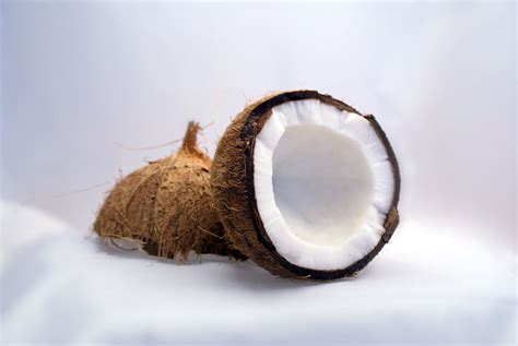 Filekokosnuss Coconut Wikimedia Commons