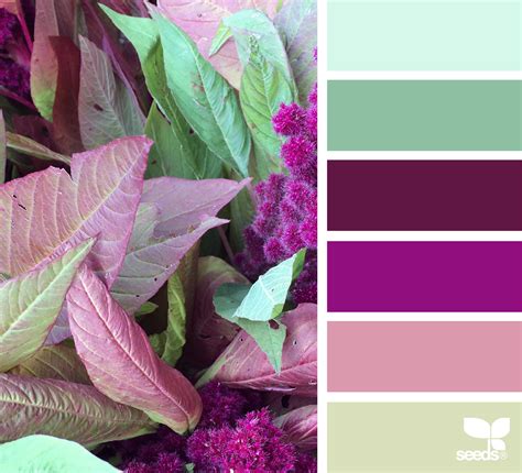 Nature Palette Seeds Color Paint Color Schemes Color Schemes