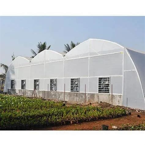 Modular Dome Shaped Fan And Pad Greenhouse For Agriculture At Rs