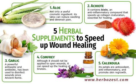 Pin On Herb Properties And Uses