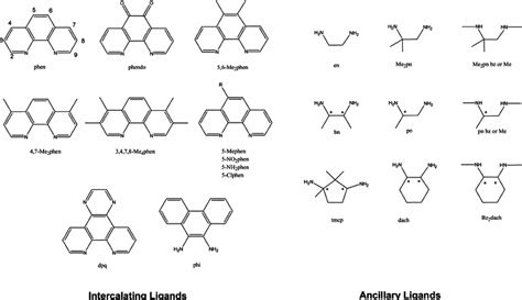 the chemical structures of the 1 10 phenanthroline and