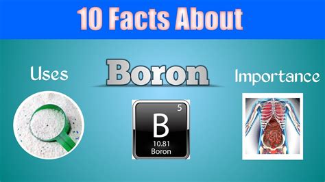 10 Amazing Facts About Boronuses And Importance Of Boron