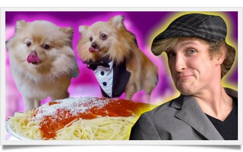 Kong Logan Pauls Dog Facts That Will Blow Your Mind Known Pets