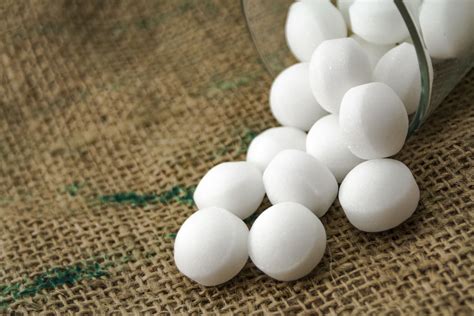 Do Mothballs Repel Rodents And Mice? - Wildlife Troopers