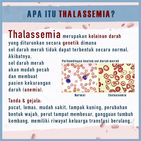 Bersama Hadapi Thalassemia