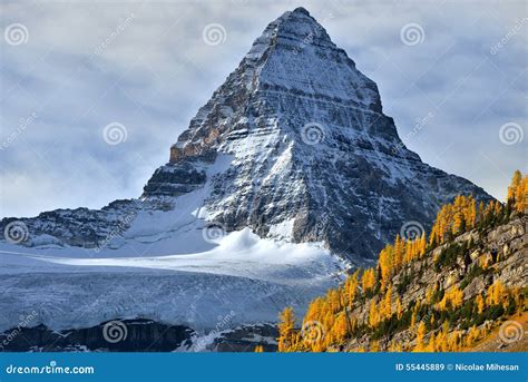 Mount Assiniboine In Canadian Rockies Stock Image Image Of White