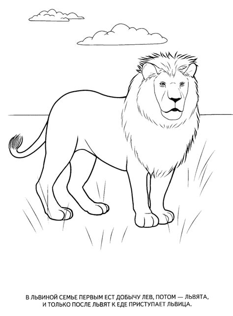 Wild Animals Coloring Pages For Kids To Print For Free