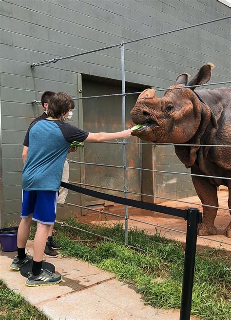 What You Need To Know Before A Visit To The Oklahoma City Zoo